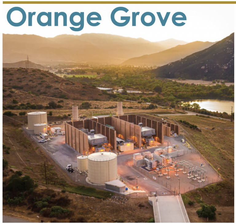 ORANGE-GROVE-768x730