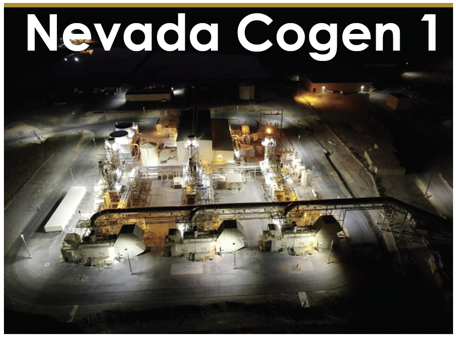 NEVADA-COGEN-1 NEVADA-COGEN-1