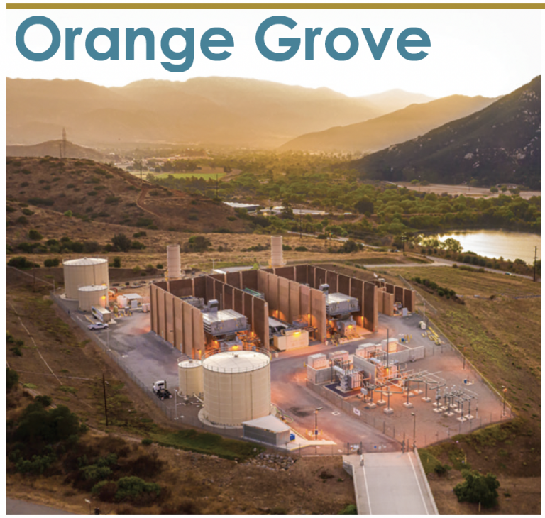 ORANGE-GROVE-768x730 ORANGE-GROVE-768x730